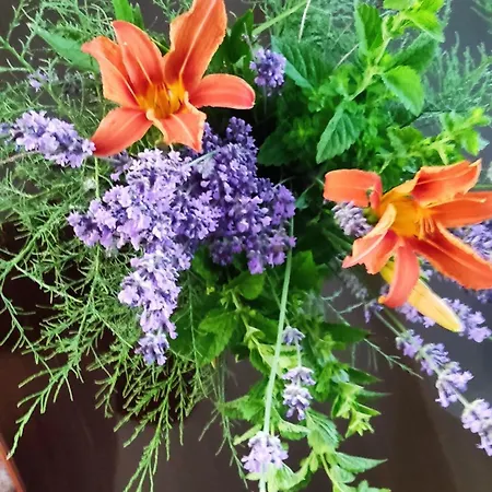 Apartman House Annesa Sarajevo