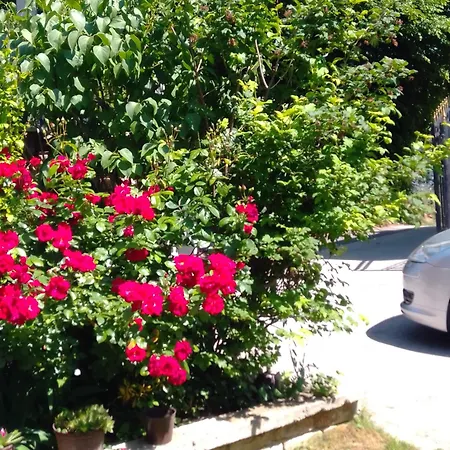 Apartman House Annesa